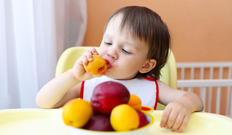 Cẩm nang ăn dặm bé tự chỉ huy (BLW) cho bố mẹ Việt Nam