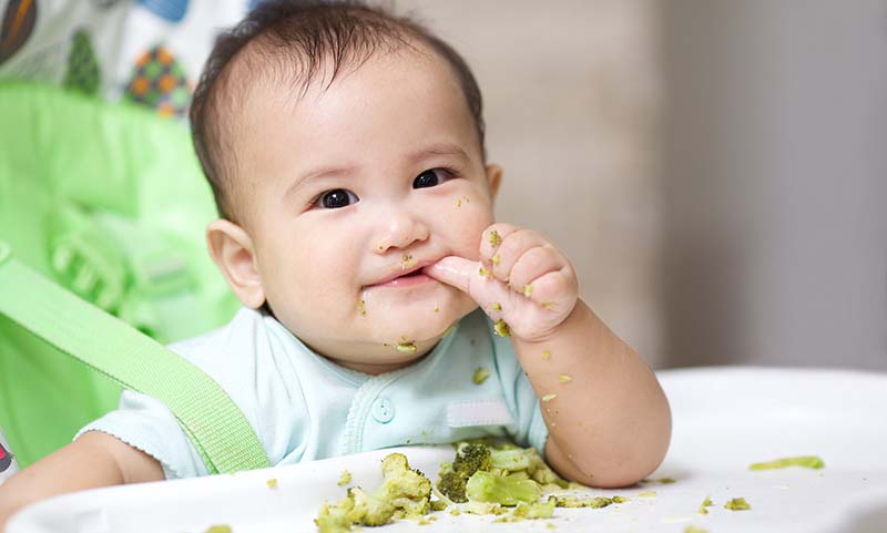 Bước vào hành trình ăn dặm – hướng dẫn thân thiện từ góc nhìn khoa học