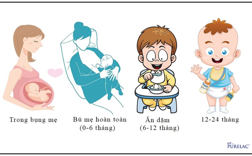 1000 Ngày Đầu Đời: Chìa Khóa Vàng Mở Cánh Cửa Chiều Cao Vượt Trội Cho Con